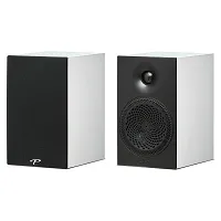 Paradigm Premier 100B (biały)