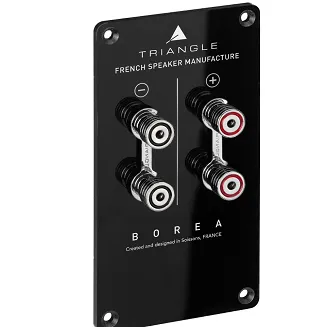 Kolumny podłogowe Triangle Borea BR10 - 25