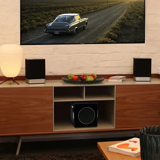 Subwoofer Electrocompaniet Sira L-1 - 3