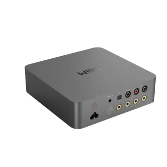 Wzmacniacz zintegrowany Wiim Vibelink Amp - 5