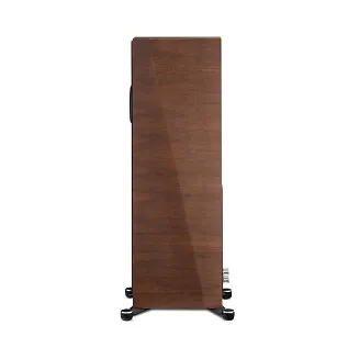 Paradigm Founder 120H (walnut) - 5