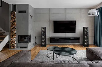 Paradigm Founder 120H (walnut) - 7