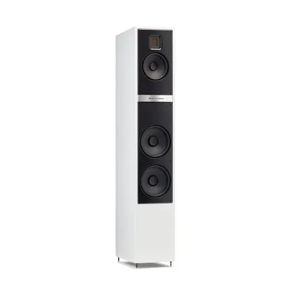Martin Logan Motion 40i (Matt White)