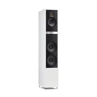 Martin Logan Motion 40i (Matt White)