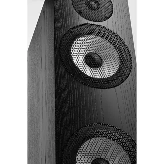 Pylon Audio Ruby 30 - 2