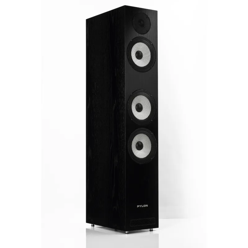 Pylon Audio Ruby 30