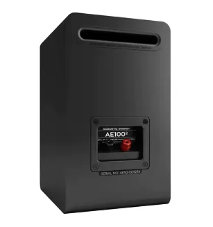 Kolumny podstawkowe Acoustic Energy AE100 MK2 (satin black) - 3