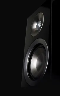 Paradigm Prestige 85F - 11