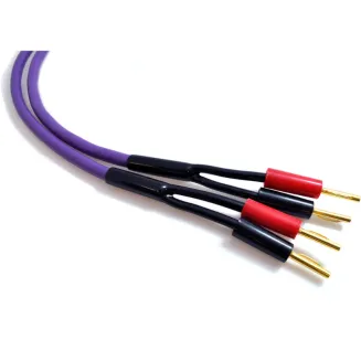 Kable głośnikowe Melodika MDSC15 (banan) - 2