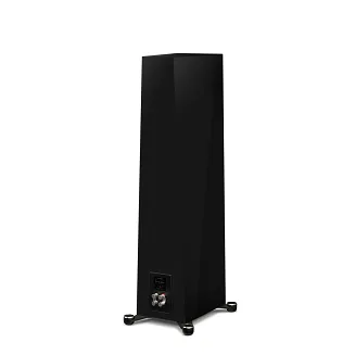 Paradigm Founder 100F (piano black) - 7