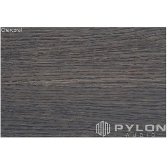 Pylon Audio Ruby 20 - 10