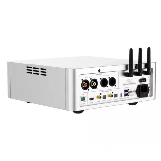 Odtwarzacz sieciowy Shanling SM1.3 - 4