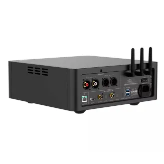 Odtwarzacz sieciowy Shanling SM1.3 - 8