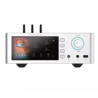 Odtwarzacz sieciowy Shanling SM1.3