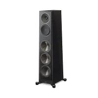 Paradigm Founder 120H (black walnut)