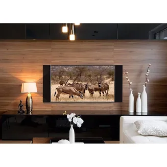 Paradigm Decor 2S - 9