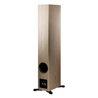 Kolumny podłogowe Dynaudio Evoke 50 (blonde) - 4