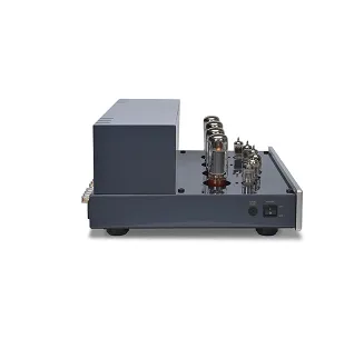 PrimaLuna EVO 300 Poweramp - 2