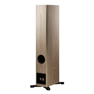 Kolumny podłogowe Dynaudio Evoke 30 (blonde) - 4