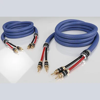 Przewód głośnikowy Ricable Invictus Speaker Reference