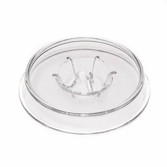 Analogue Studio Simple Record - 2