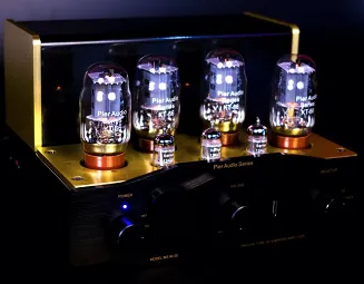 Pier Audio MS-65 SE / MS-66 SE - 5