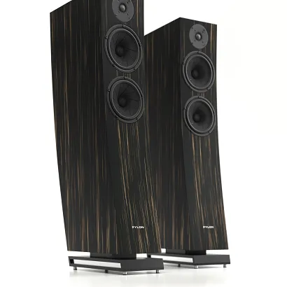 Pylon Audio Jasper 25 mkII Active (orzech amerykański)