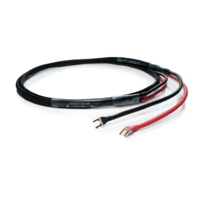 Przewód głośnikowy Gold Note Siena Plus