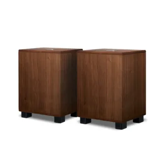 Subwoofer REL Classic 99 - 5