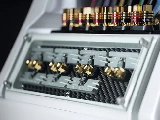 Wilson Audio Chronosonic XVX - 8