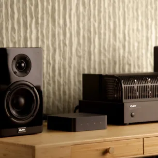 Odtwarzacz sieciowy WiiM Pro+ (Pro Plus) - 10