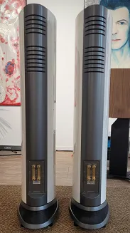 Kolumny podłogowe Audiovector R 6 Avantgarde - outlet - 4