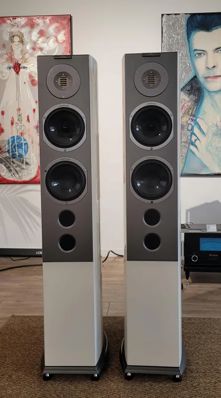 Kolumny podłogowe Audiovector R 6 Avantgarde - outlet
