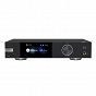 EverSolo DAC-Z8