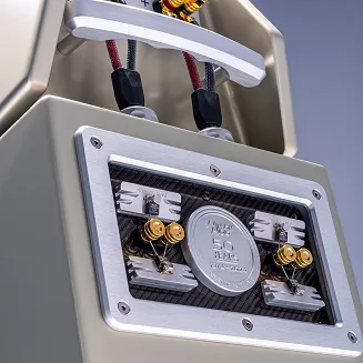 Kolumna podłogowa Wilson Audio WATT/Puppy - 6