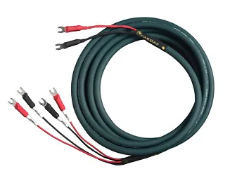 Cardas Audio Parsec Speaker - 2