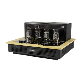 Audio Research I/50 (Złoty) - 2