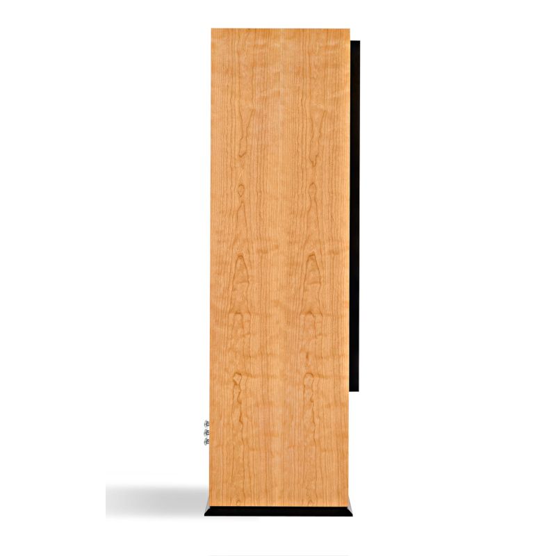 ATC SCM200 ASLT – potężne kolumny aktywne podłogowe do dużych pomieszczeń Poznaj aktywne kolumny ATC SCM200 ASLT z podwójnym 12