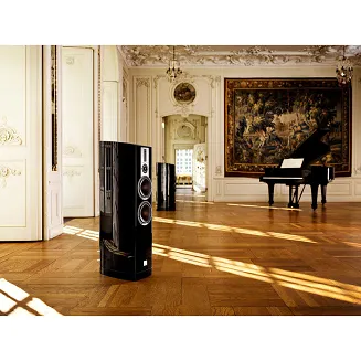 Kolumny podłogowe Dali Epicon 6 (czarny) - 2