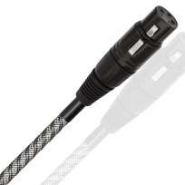 Przewód cyfrowy AES/EBU WireWorld MICRO-PLATINUM ECLIPSE 10 (MPA)