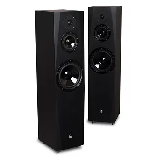 Kolumny podłogowe Pylon Audio Sapphire 31 - 2