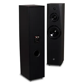 Kolumna podłogowa Pylon Audio Sapphire 31 - 2
