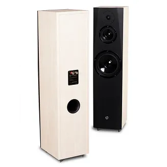 Kolumna podłogowa Pylon Audio Sapphire 31 - 4