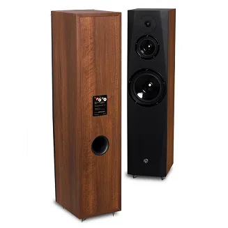 Kolumna podłogowa Pylon Audio Sapphire 31 - 6