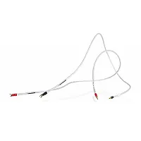 Synergistic Research Foundation SC głośnikowy