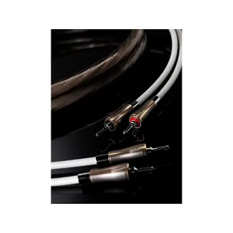 QED Supremus Konfekcja (QE001) - 3