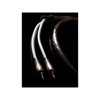 QED Supremus Konfekcja (QE001) - 5