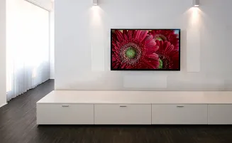 Martin Logan Edge - 8