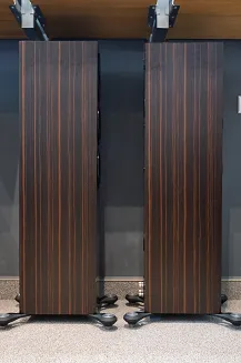 Kolumna podłogowa Monitor Audio Gold 300 6G Macassar – Outlet - 2