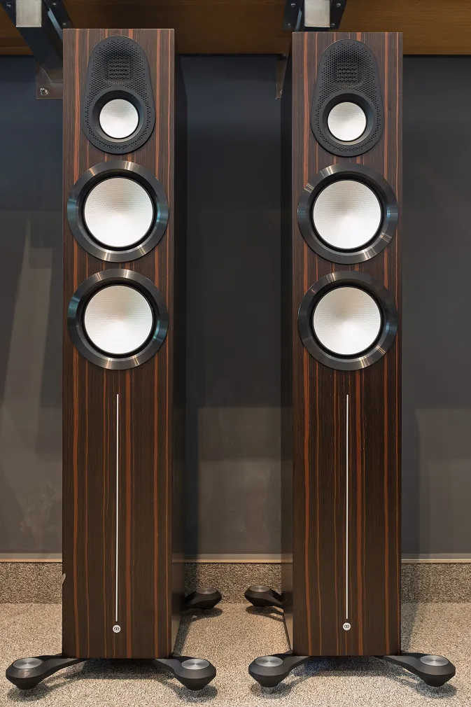 Kolumna podłogowa Monitor Audio Gold 300 6G Macassar – Outlet